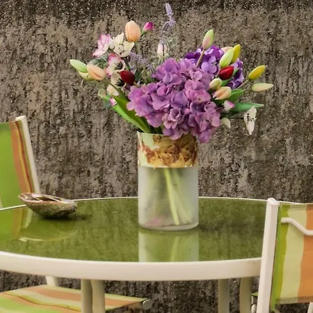 Apartman Veseli Apartment